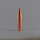 NPB HE .308 (7.62mm) 170grs thumbnail