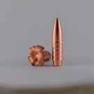 NPB HE .308 (7,62mm) 170grs thumbnail