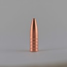 NPB HE .308 (7,62mm) 150grs thumbnail