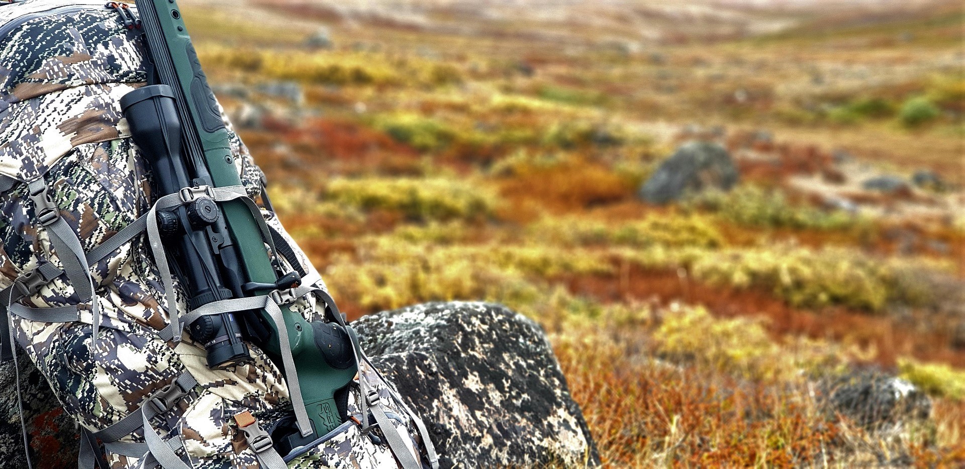 Hunting Musk Ox in Greenland